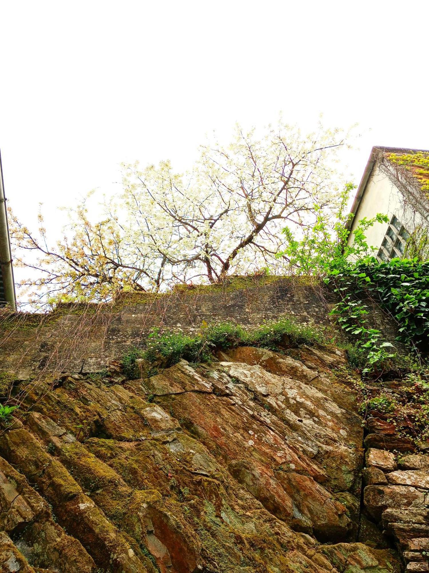 Albergue San Lazaro Sarria Kültér fotó